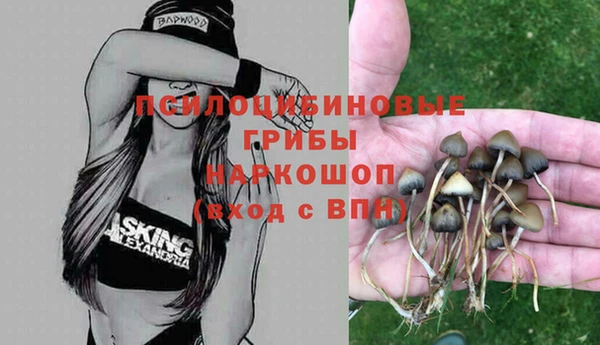 меф Мегион