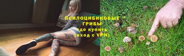 ECSTASY Михайлов