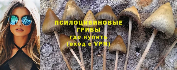 ECSTASY Михайлов
