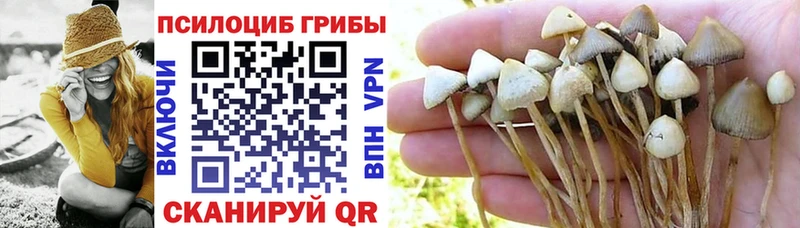Галлюциногенные грибы ЛСД  дарнет шоп  omg ССЫЛКА  Новокубанск 